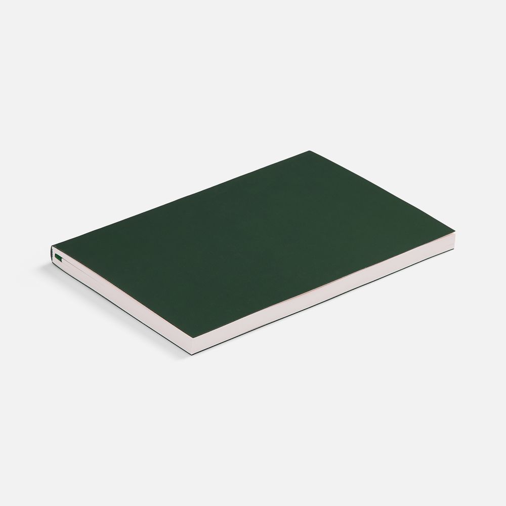 Ежедневник Flat Light ver.2, недатированный